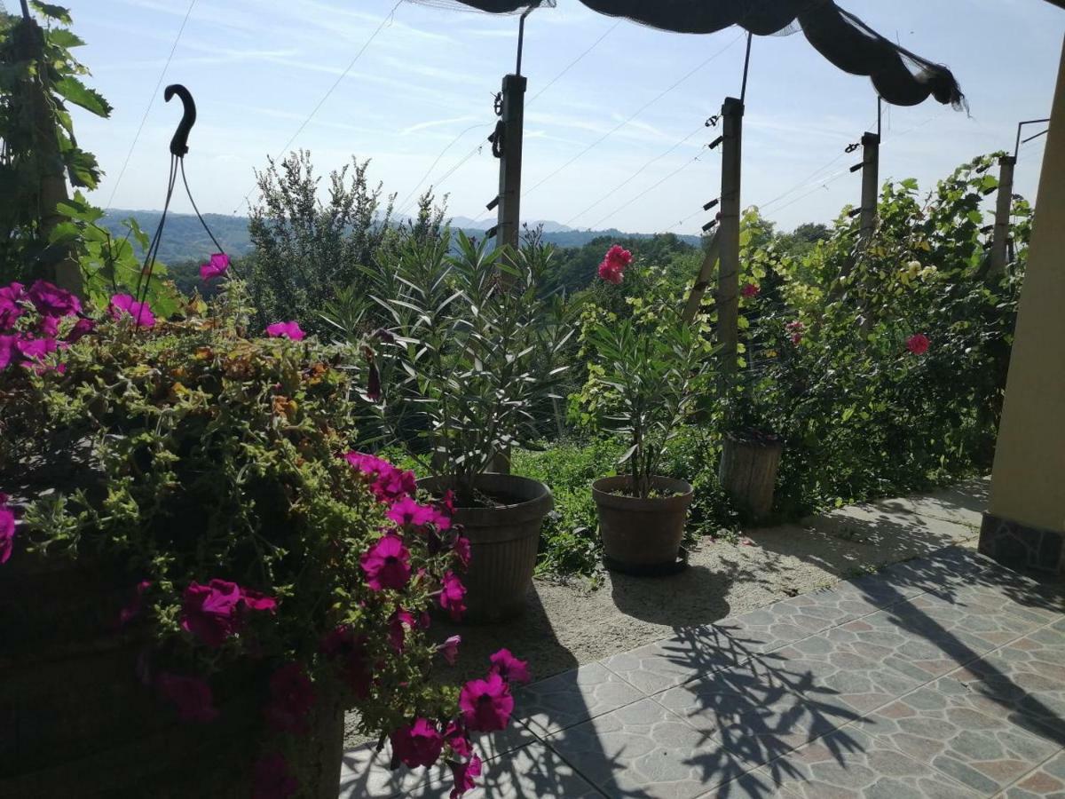 House Of The Red Poppy Vila Mirkovec Exterior foto